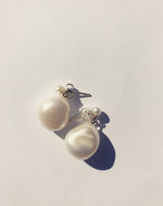 Artemisia Pearl Drops